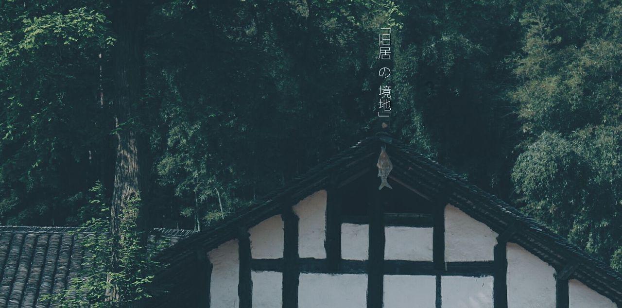 诺曼底44